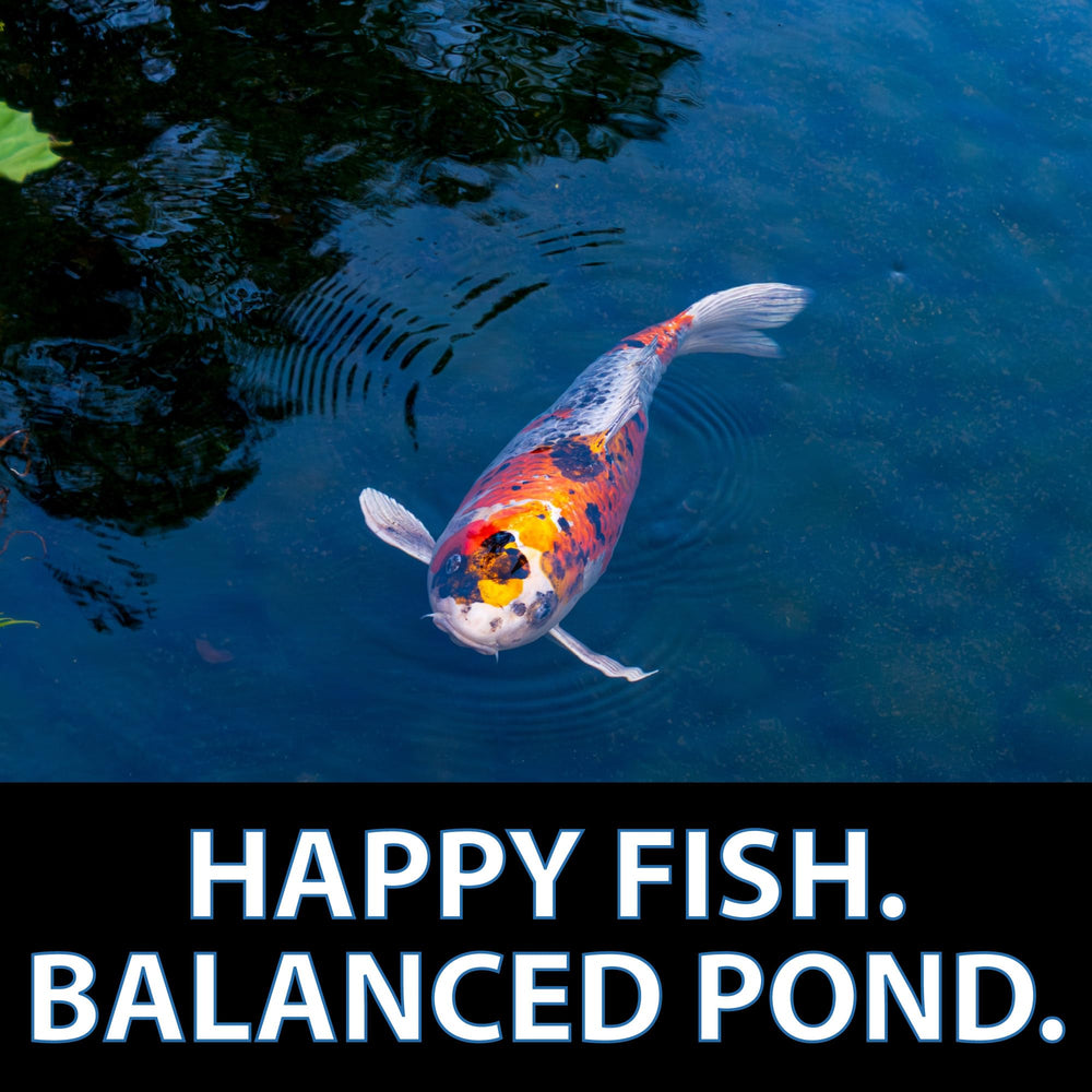CrystalClear WheatGerm nutrient-dense formula on shelf emphasizes year-round pond feeding