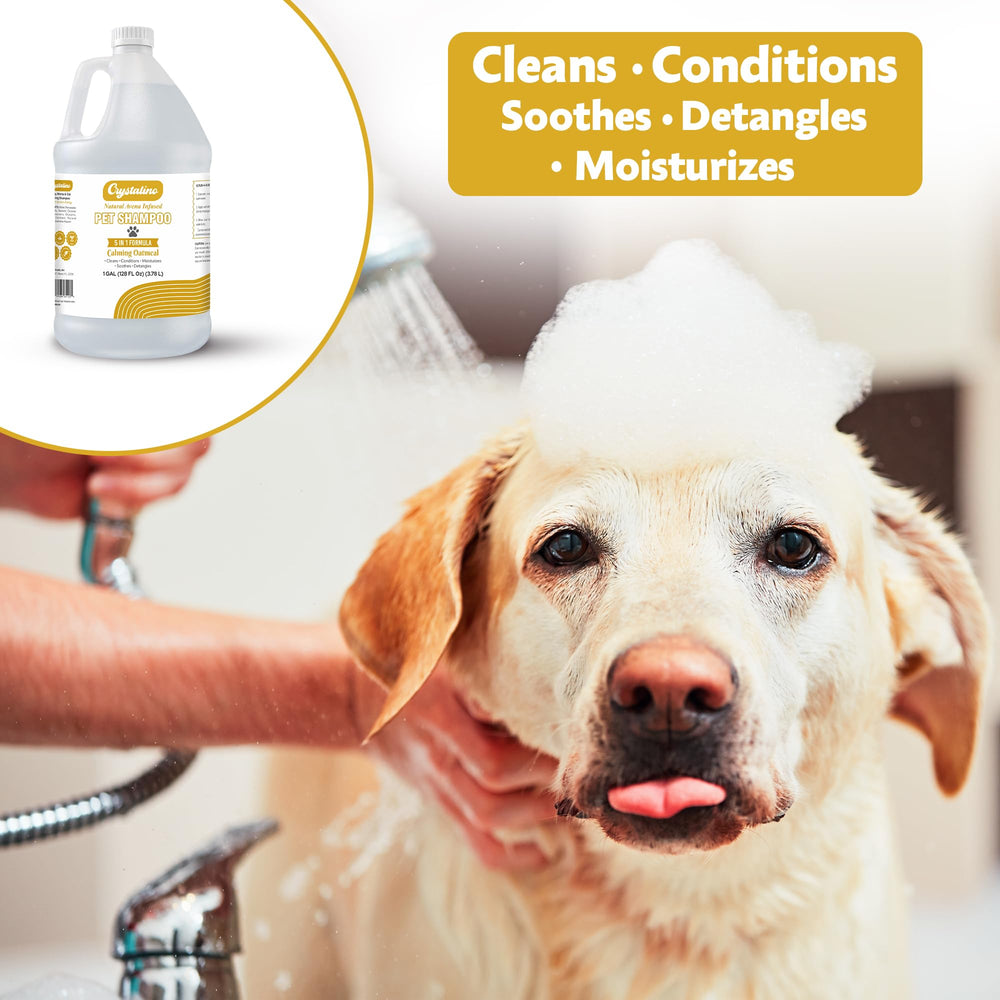 Crystalino dog shampoo in a grooming session illustrating bulk option and long-lasting scent.