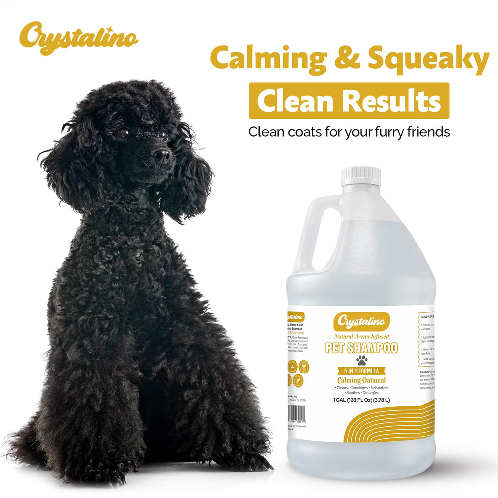 Crystalino oatmeal shampoo after bath for a smooth, clean coat finish.