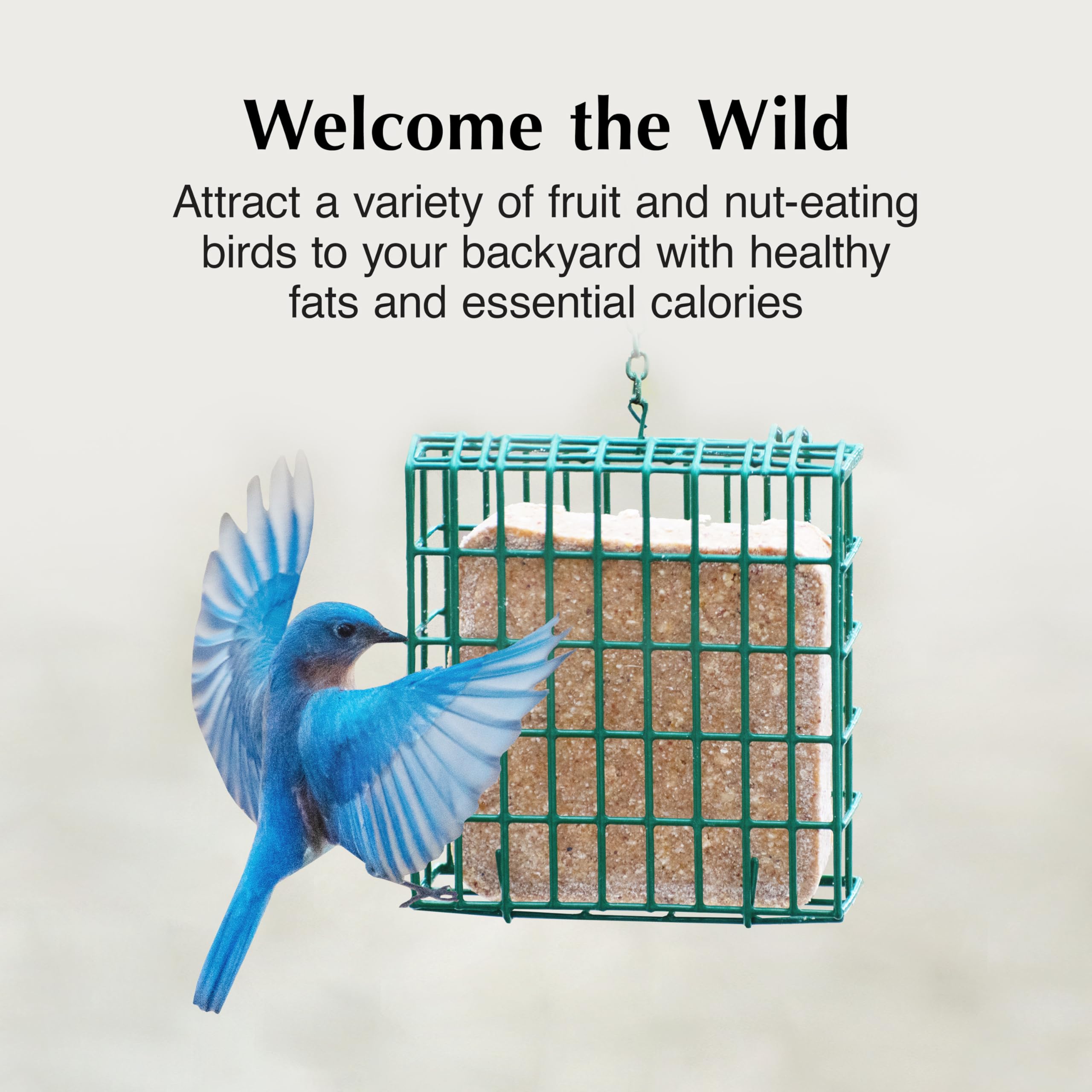 C&S Fruit n’ Nut Suet Cake with peanut supports energy for feeding