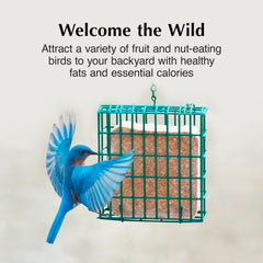 C&S Fruit n’ Nut Suet Cake with peanut supports energy for feeding