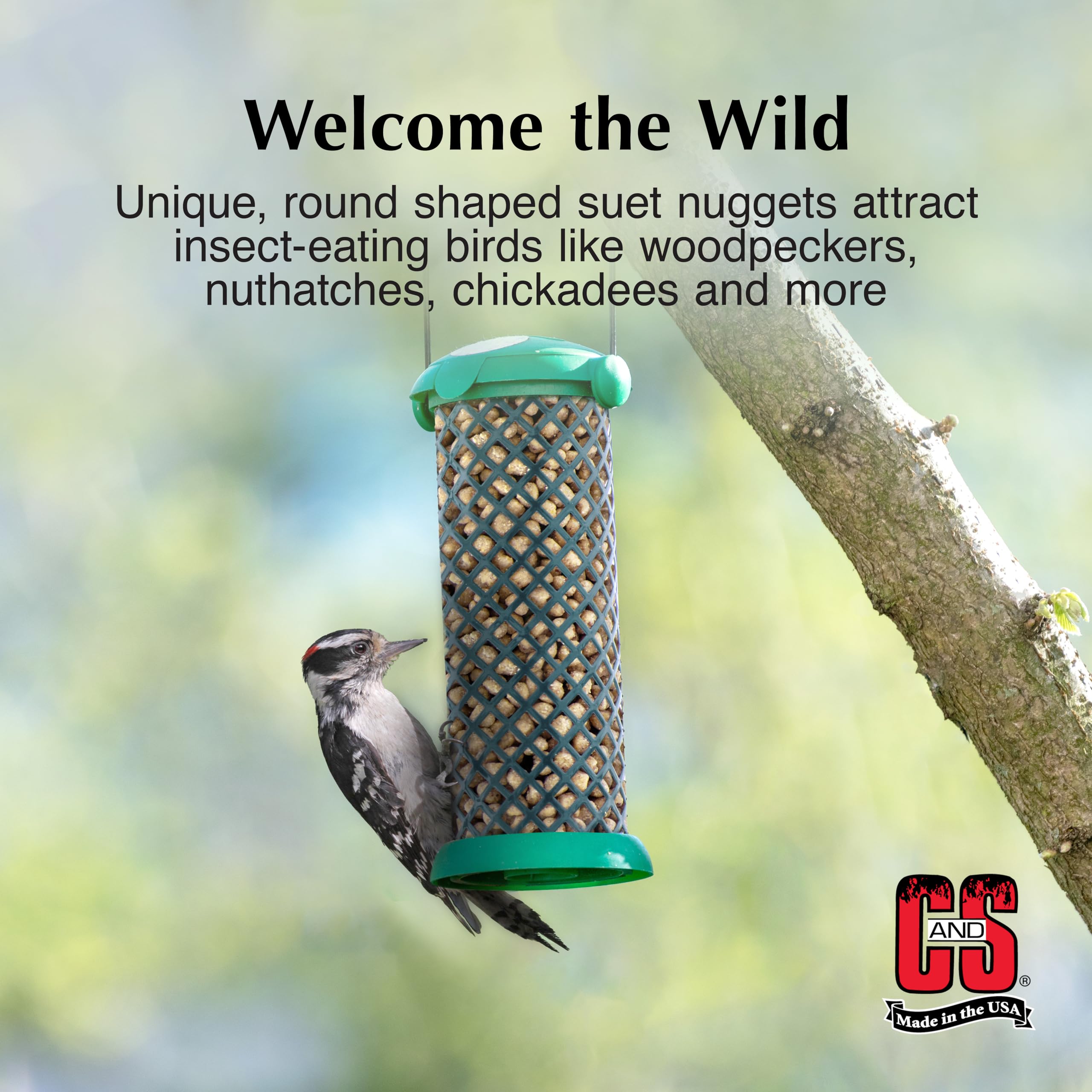 C&S Woodpecker Suet Nuggets on a platform feeder.