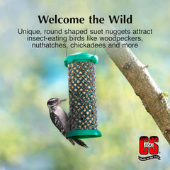 C&S Woodpecker Suet Nuggets on a platform feeder.
