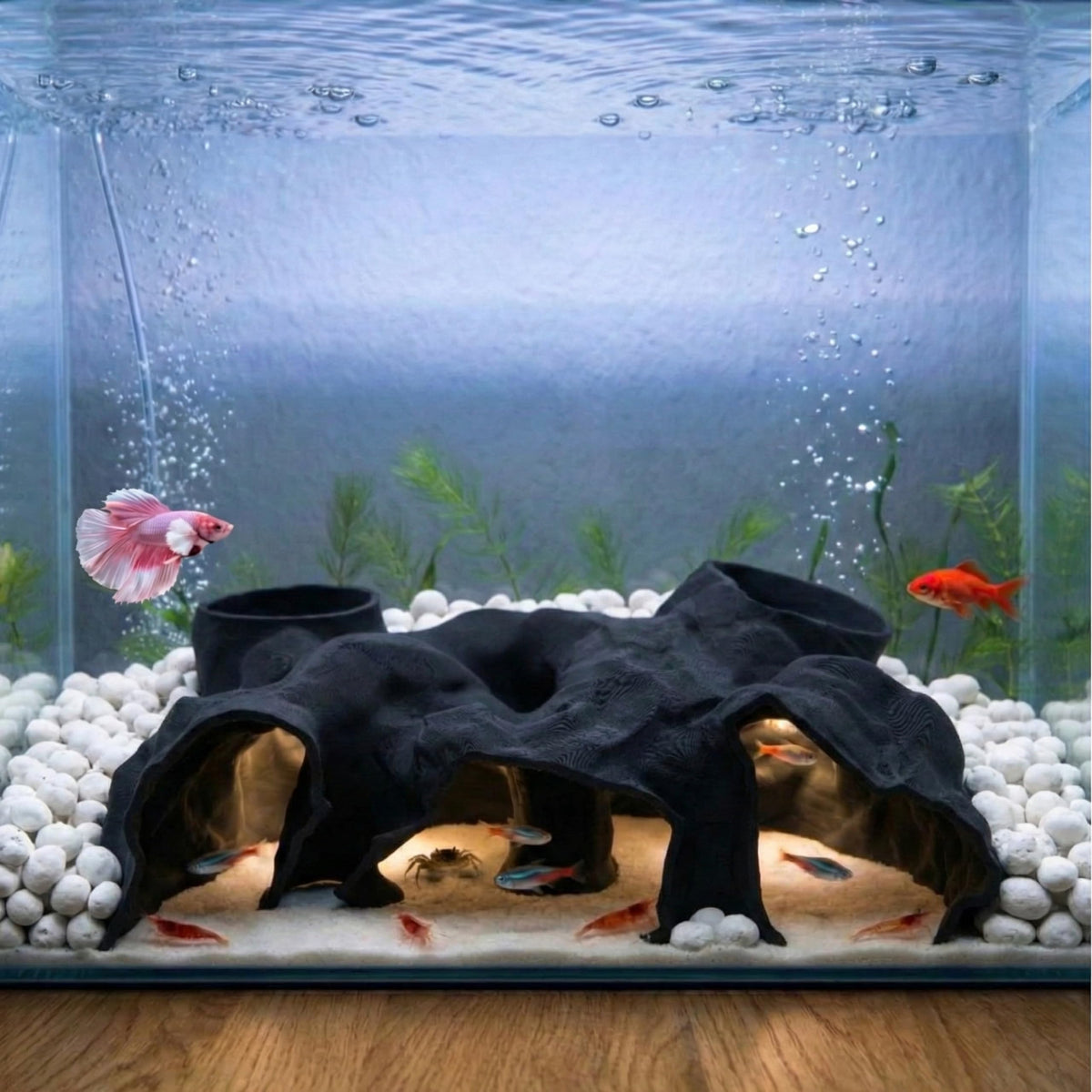 CT SUN large aquarium tunnel cave (9.5 inches) offers a spacious hideout near glass for small fish.