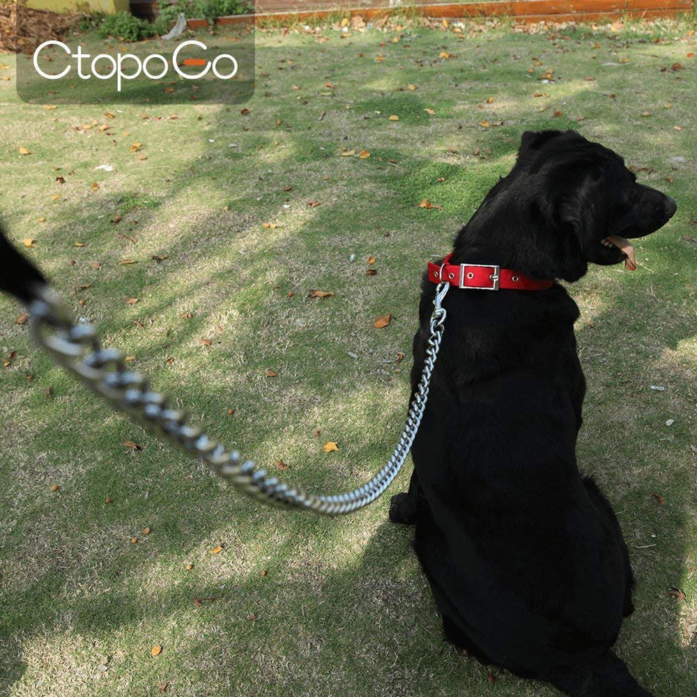 Ctopogo rust-resistant all-weather leash for year-round use