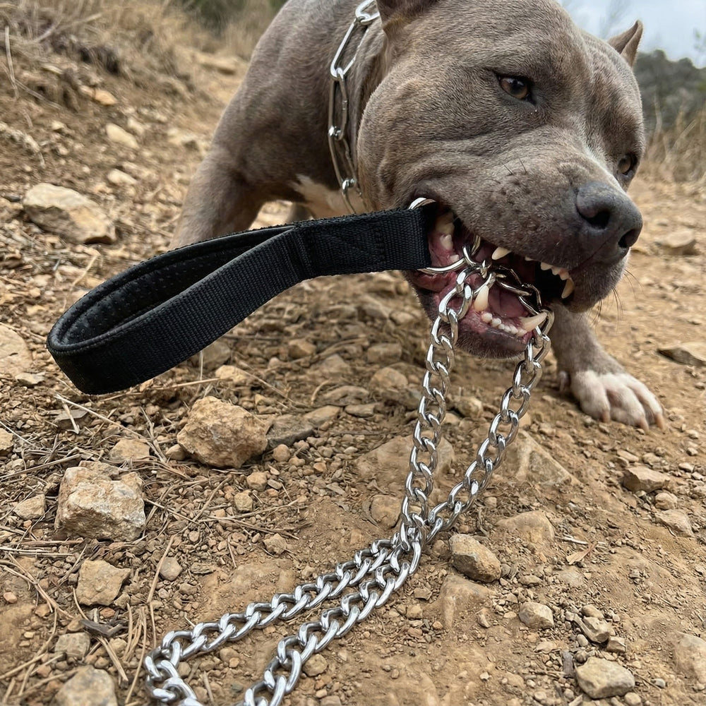 CtopoGo chrome metal chain leash shows 3.0 mm thickness for strength.