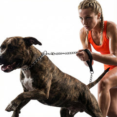 CtopoGo leash with 360° rotating clip to prevent tangling during movement.