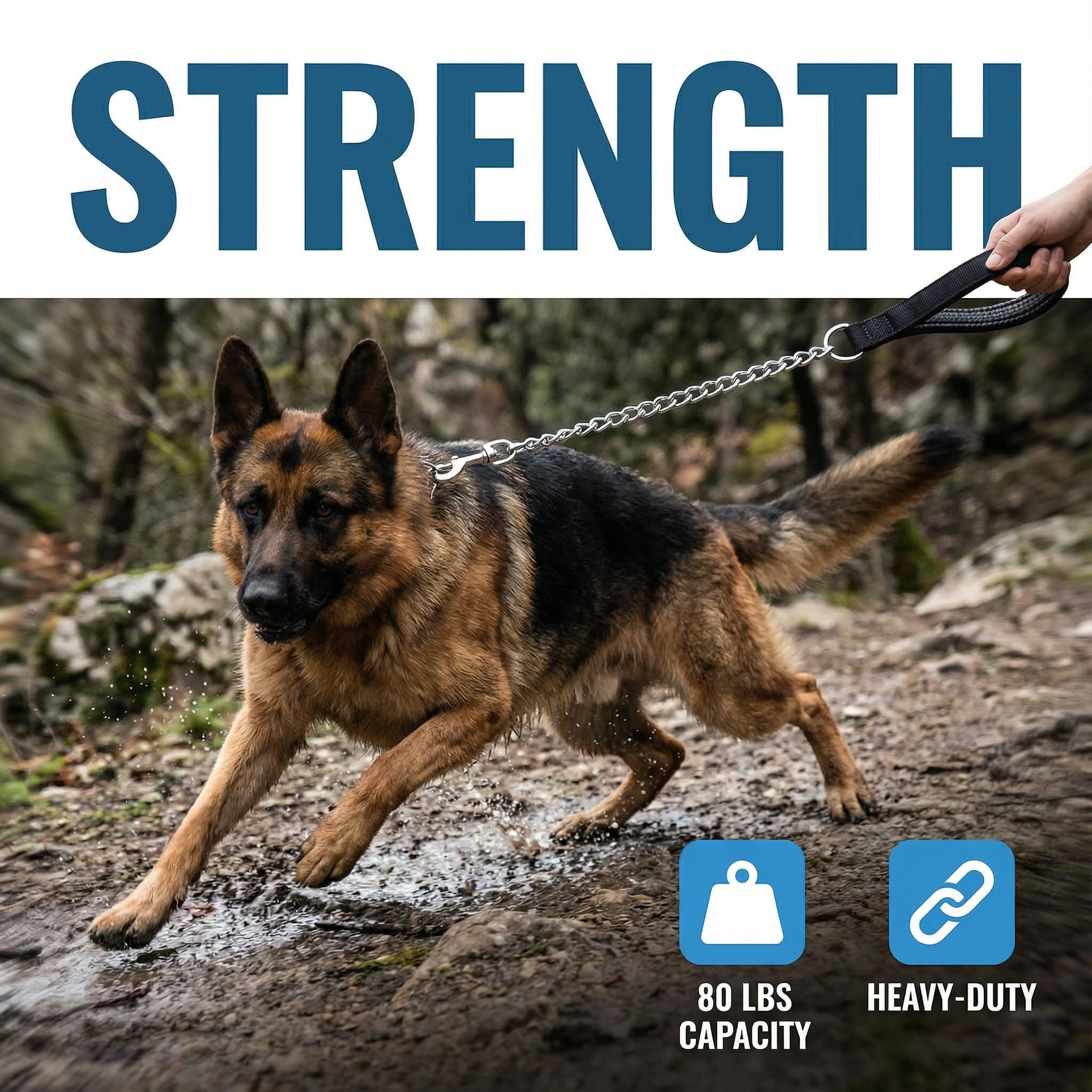 CtopoGo metal clasp ensures secure attachment to collar or harness.