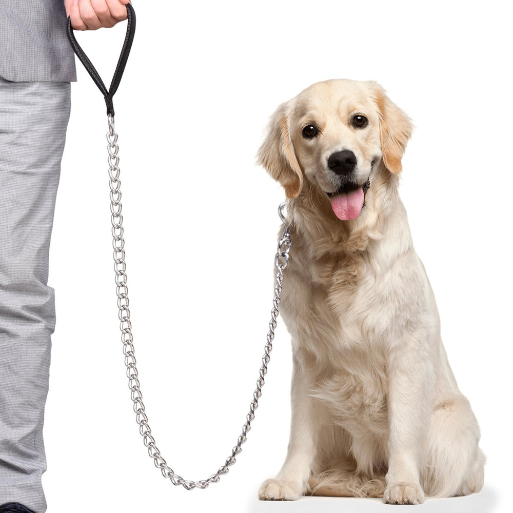 Ctopogo premium chain leash with heavy-duty clip for strong, reliable walks