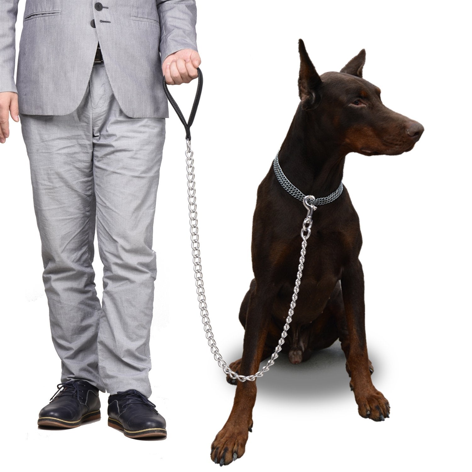 Ctopogo training and daily-walking leash for large breeds