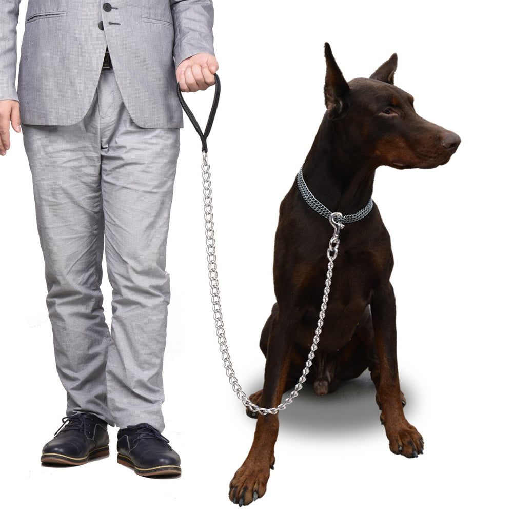 Ctopogo training and daily-walking leash for large breeds