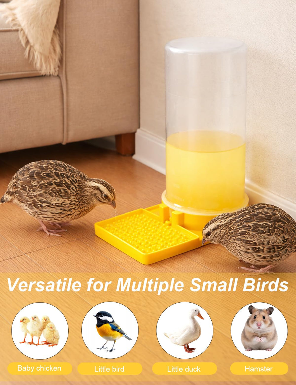 CTTZCKJ Ultra Leak-Proof Quail Water Feeder, farm-ready design for versatile poultry hydration.