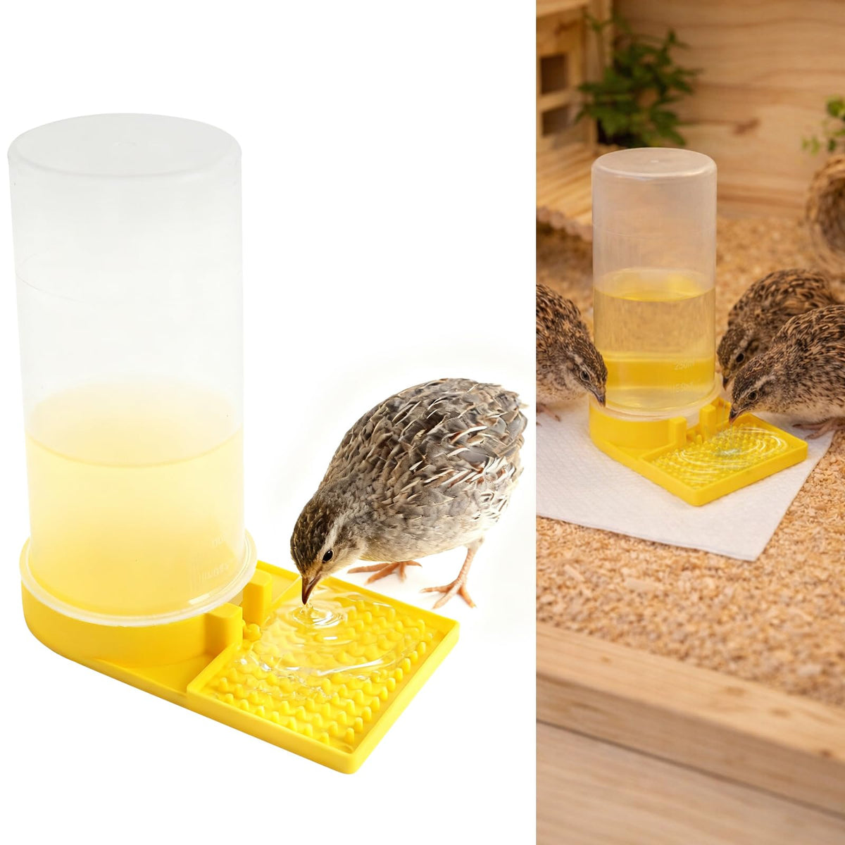 CTTZCKJ Ultra Leak-Proof Quail Water Feeder, front view, keeps cages clean and dry.