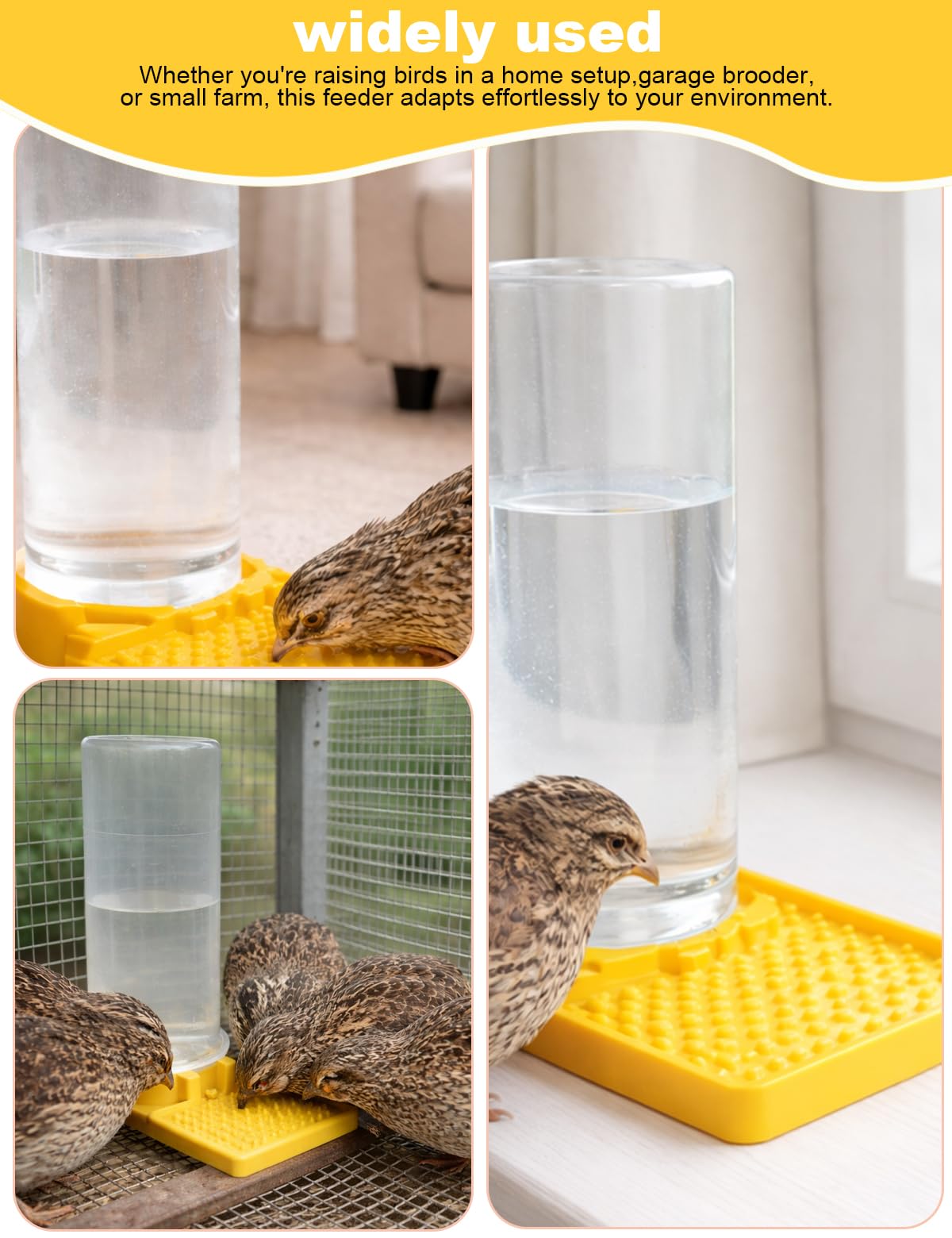 CTTZCKJ Ultra Leak-Proof Quail Water Feeder, indoor use, keeps coop tidy.