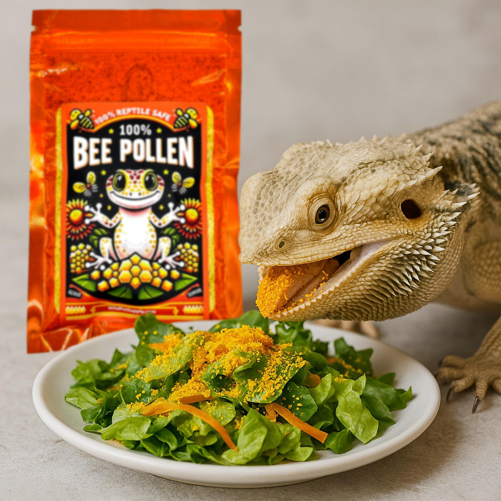 CTWPets bee pollen powder for reptile diet supports overall vitality.