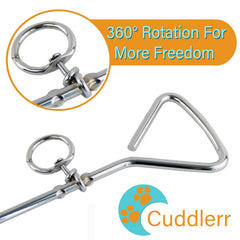 Cuddlerr 30ft tie out used for camping trips offering tethered freedom and safety.