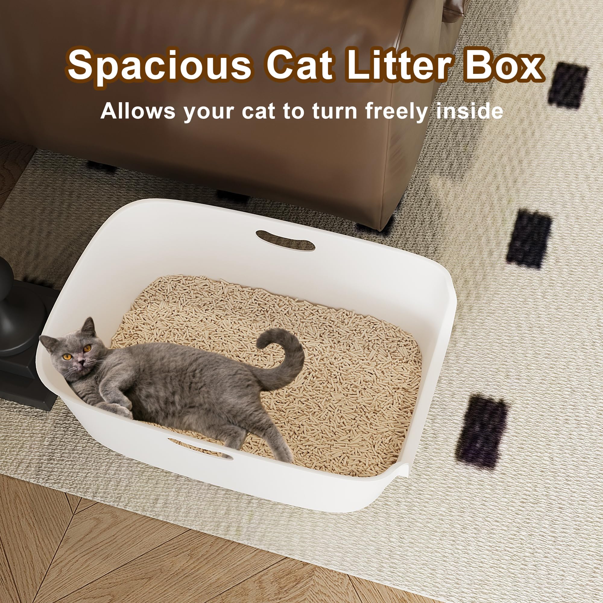 Cuddpaw easy-clean smooth plastic interior for fast maintenance