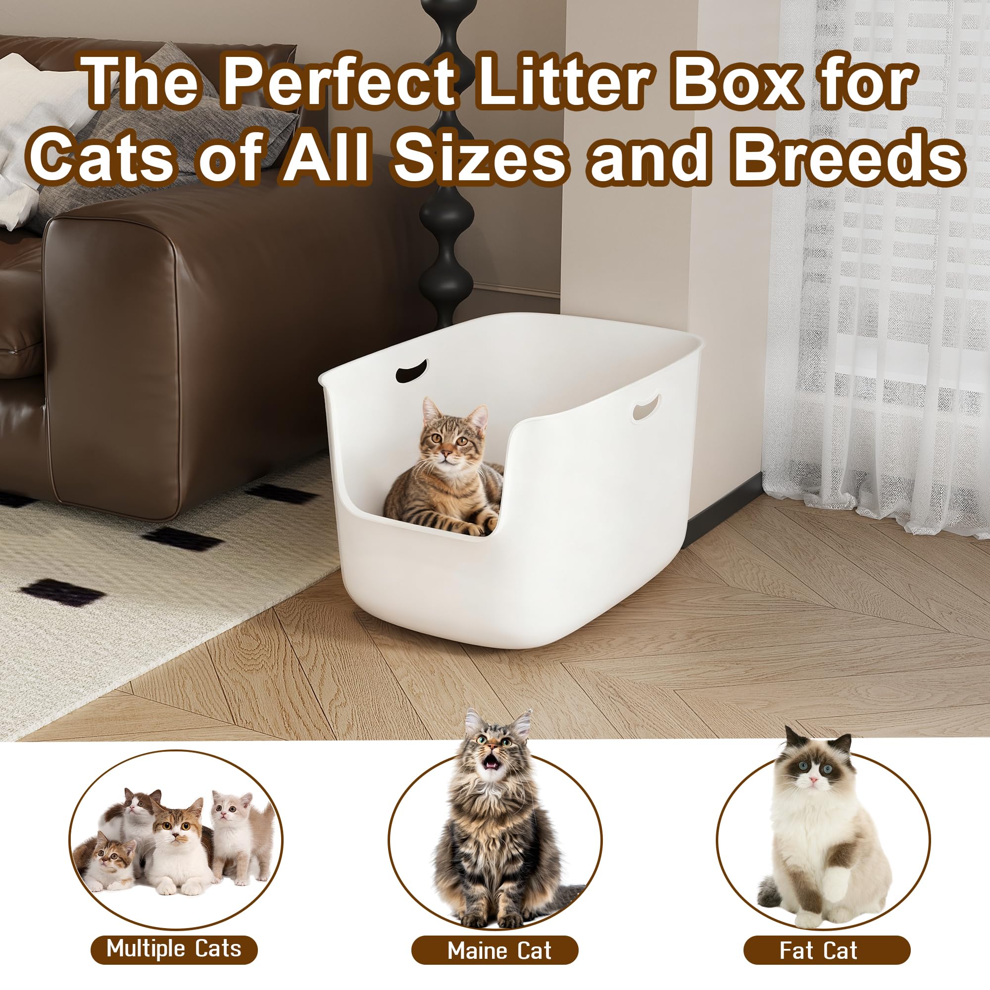 Cuddpaw jumbo size allows 2-3 cats to share space comfortably.