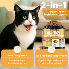 Cudory probiotic blend highlights gut-friendly formula for cats.