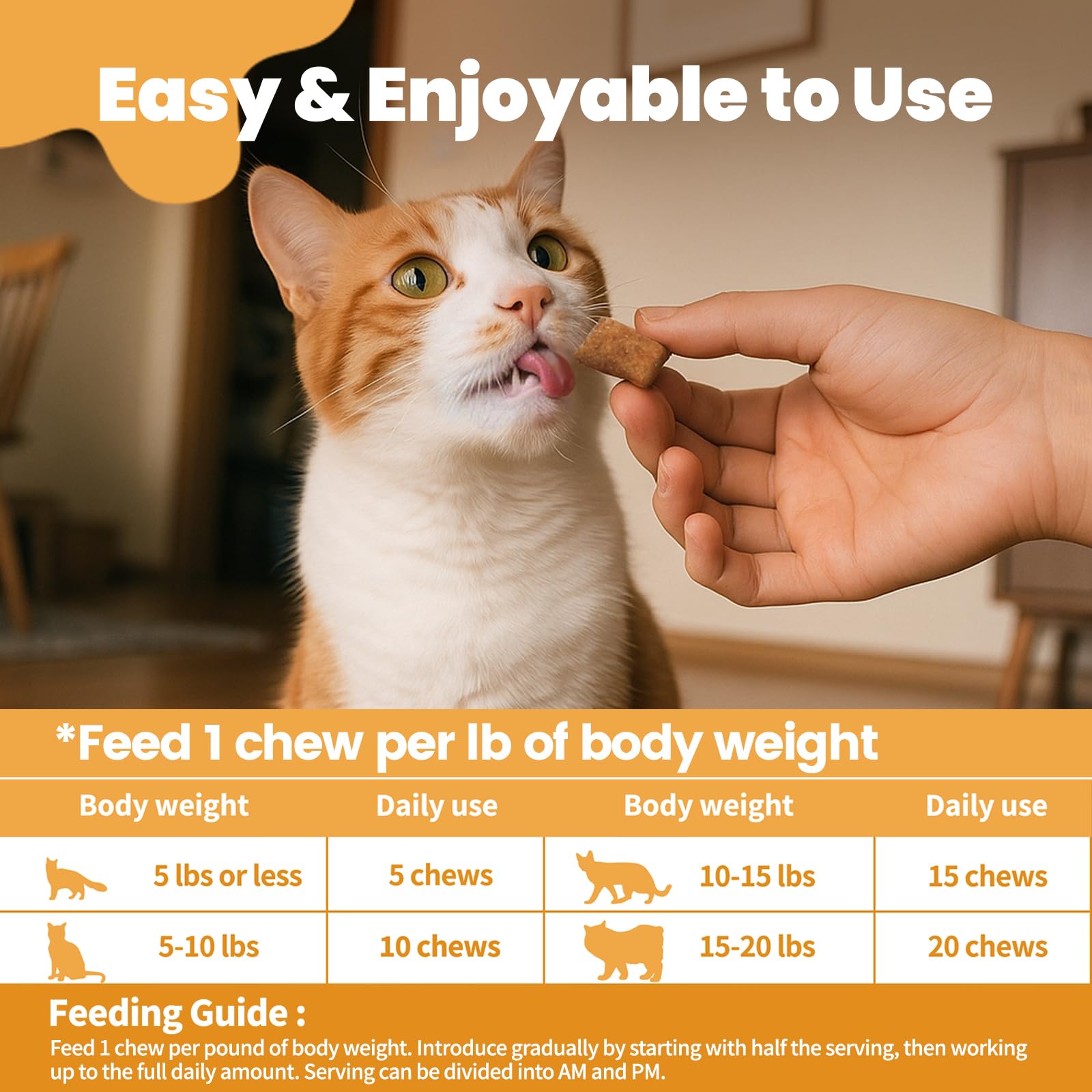 Cudory serving dish shows easy daily feeding and stress-free routine.