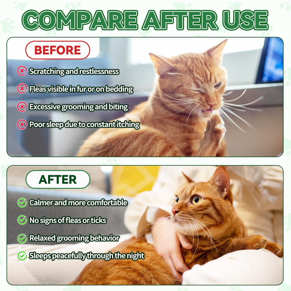 Cudory multivitamin blend in cat drops for coat vitality.