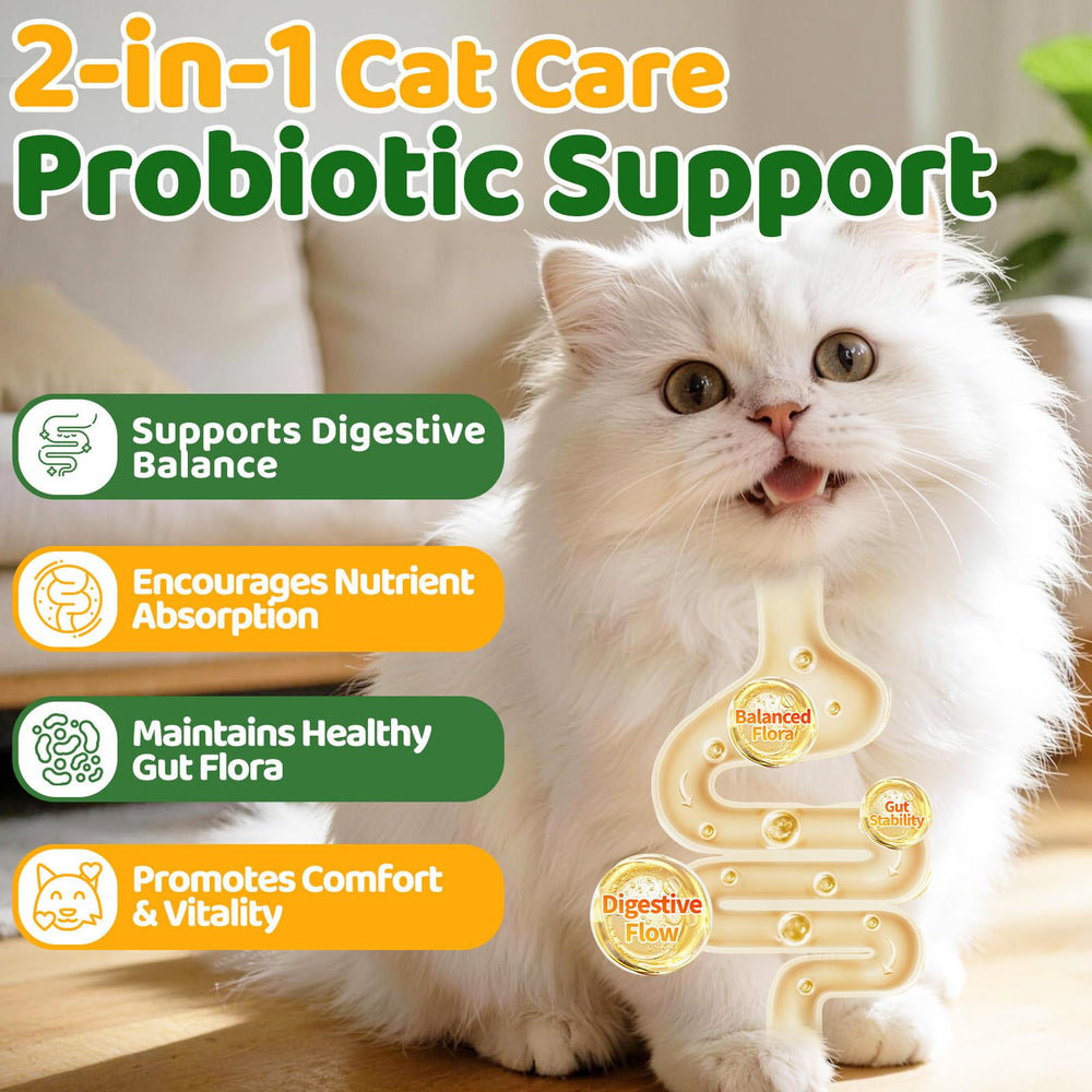 Cudory probiotic chews promote digestive balance after meals.