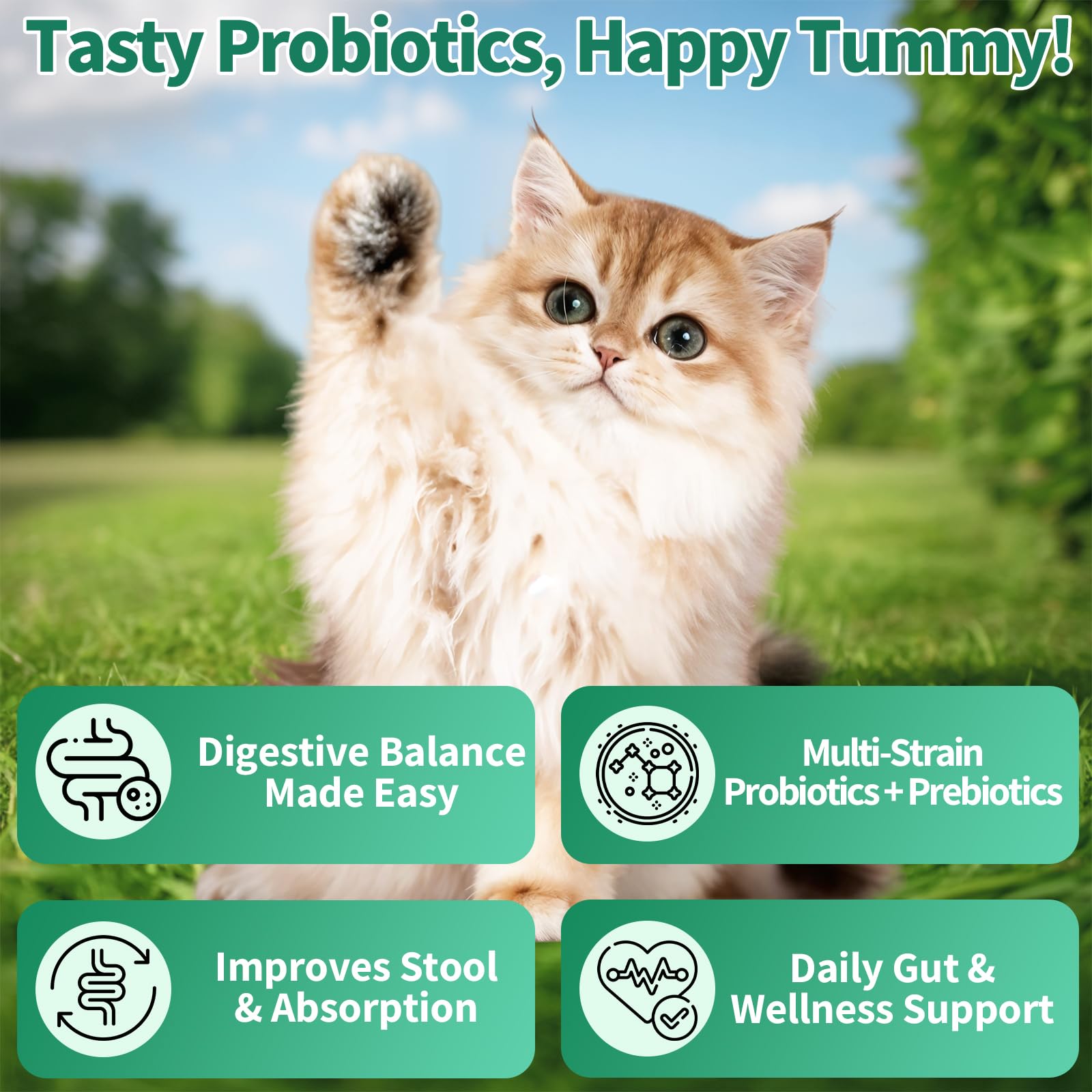 Cudory Cat Probiotics Treats: premium chicken and pumpkin ingredients with no soy or artificial additives.