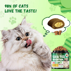 Cudory crunchy creamy chews for easy daily care of cats