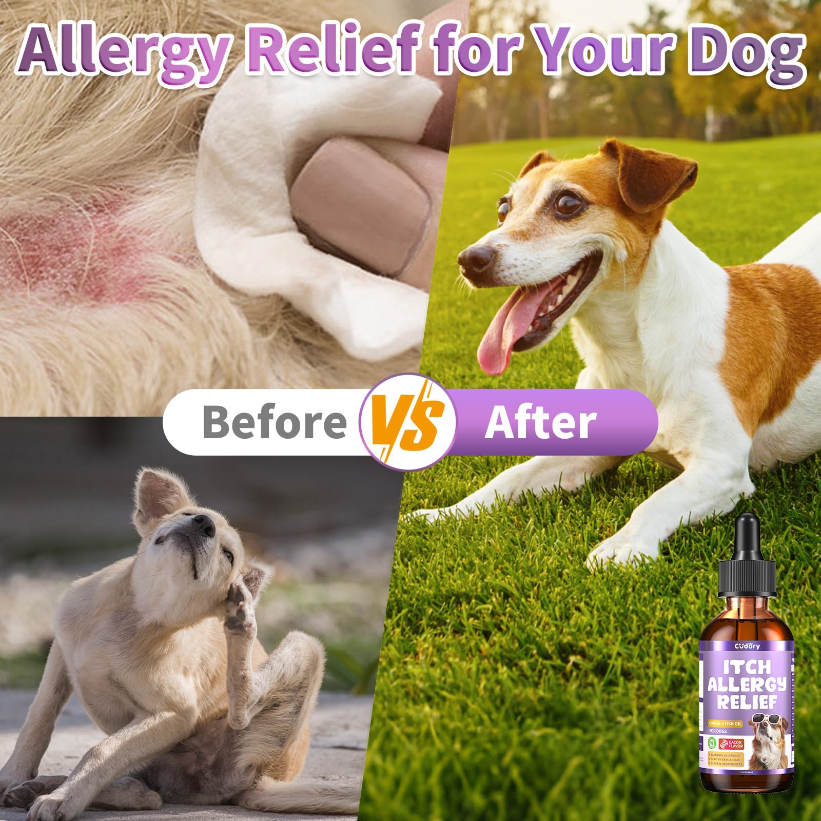 Cudory Dog Allergy Relief Drops close-up on shiny coat and resilient skin.