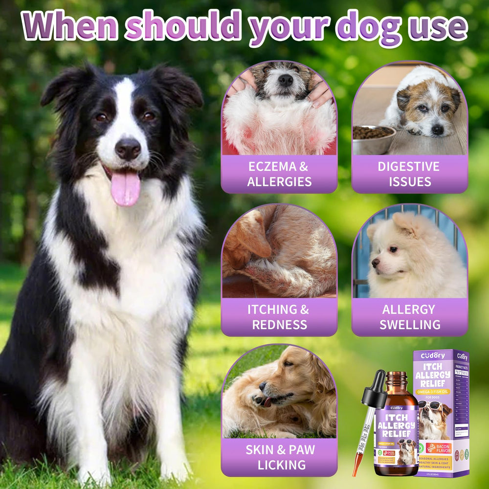 Cudory Dog Allergy Relief Drops shown with a content, healthy-looking dog.