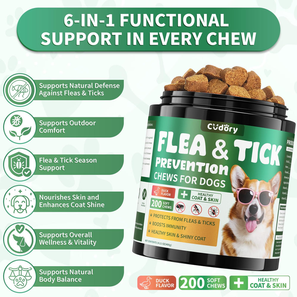 Cudory duck-flavor chew being offered to a dog for palatable daily care.