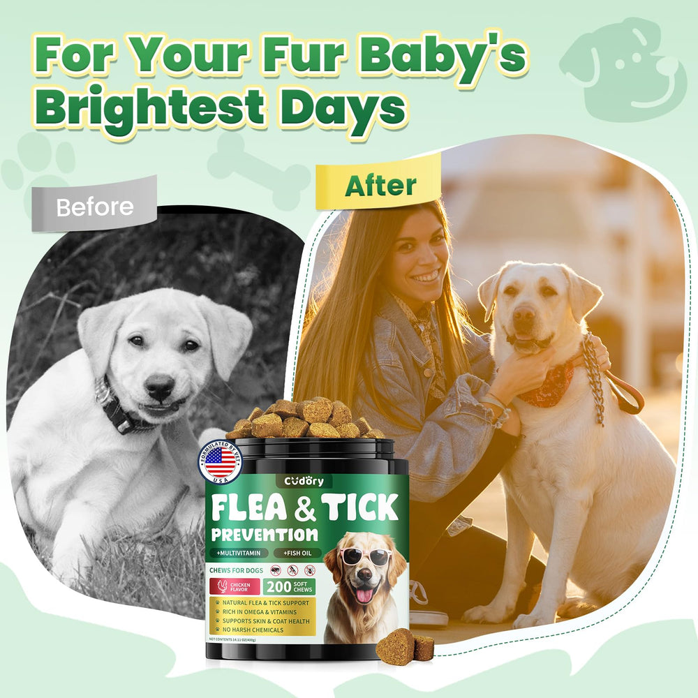 Cudory natural flea and tick support concept shown for dog safety.