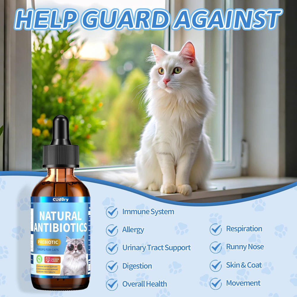 Cudory natural antibiotics for cats dropper dispense demonstrates precise dosing.