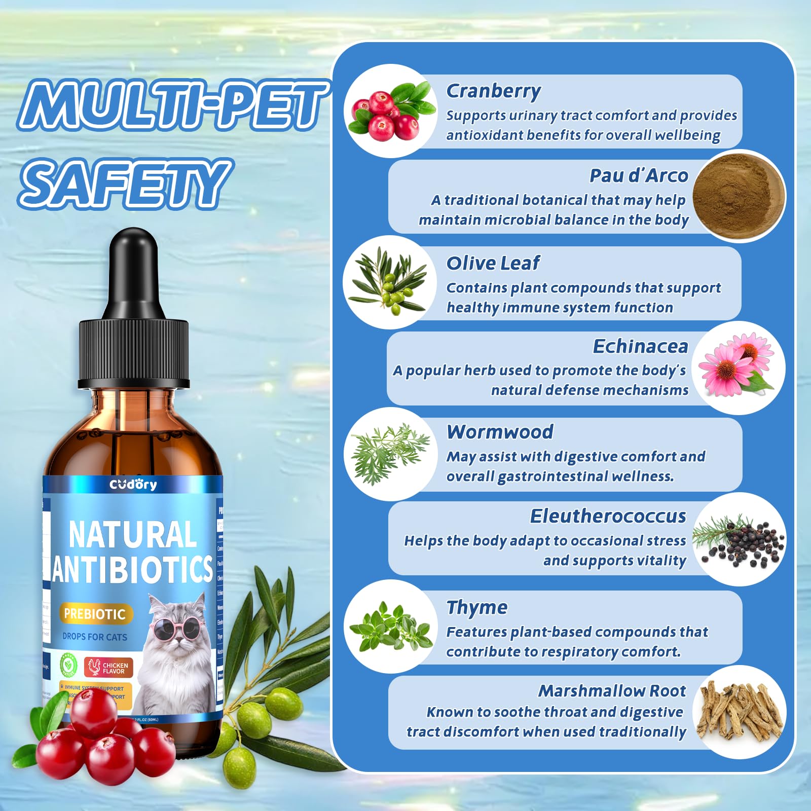 Cudory natural antibiotics for cats label close-up highlights trusted herbal ingredients.
