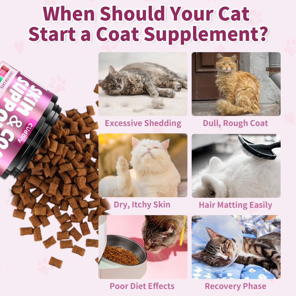 Happy cat enjoying Cudory chews for daily care