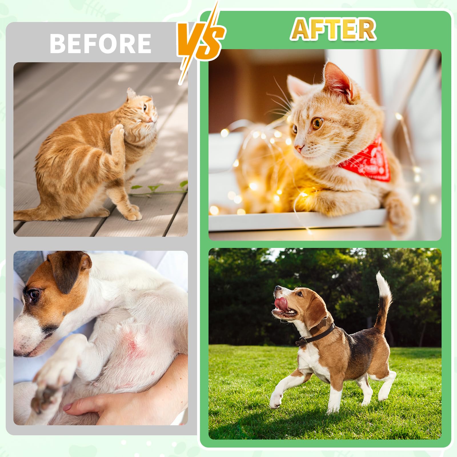 Cudory for pets of all ages and breeds highlighted