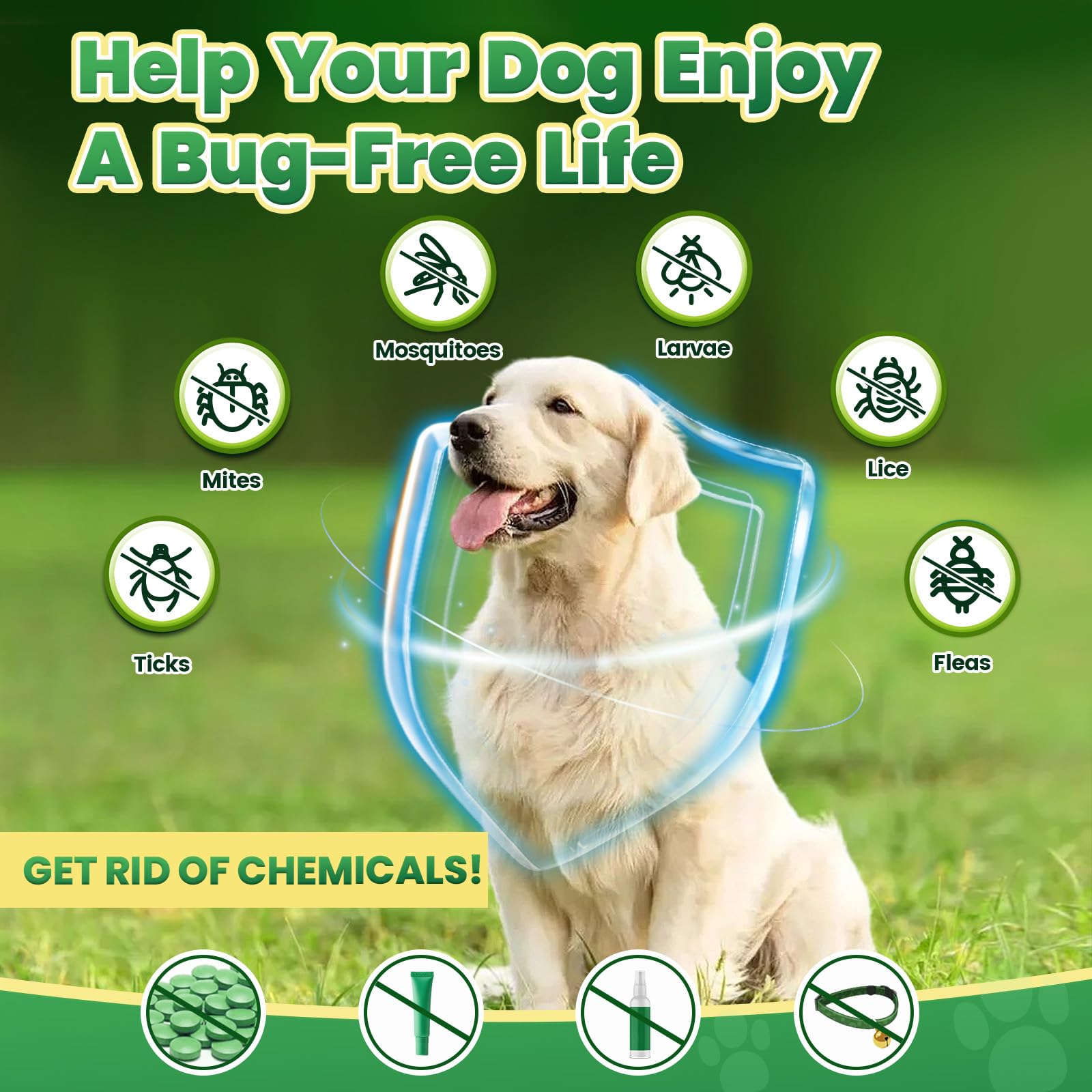 Cudory all-breeds range supports puppies to senior dogs with 200 chews.