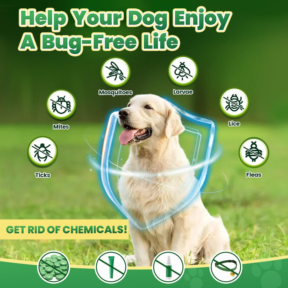 Cudory all-breeds range supports puppies to senior dogs with 200 chews.