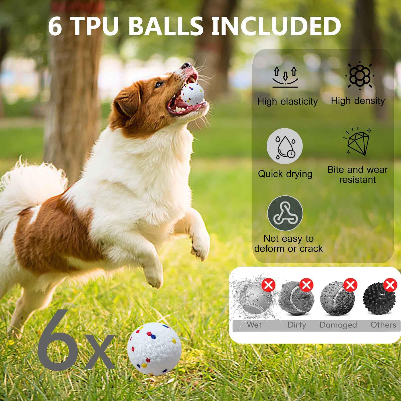 Cuelab fetch indoors and outdoors demonstrates versatile use for small to medium dogs.