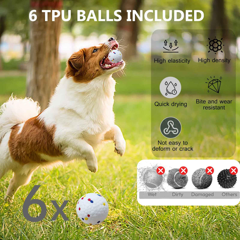 Cuelab fetch indoors and outdoors demonstrates versatile use for small to medium dogs.