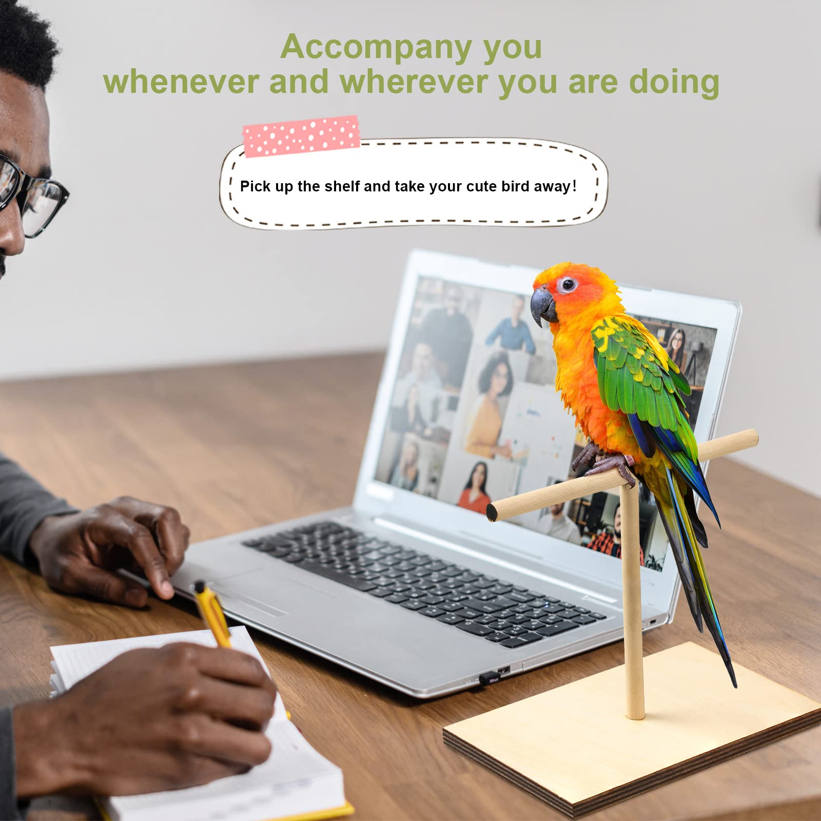 Cunno Bird Training Stand Kit clicker provides clear sound cue for positive reinforcement.