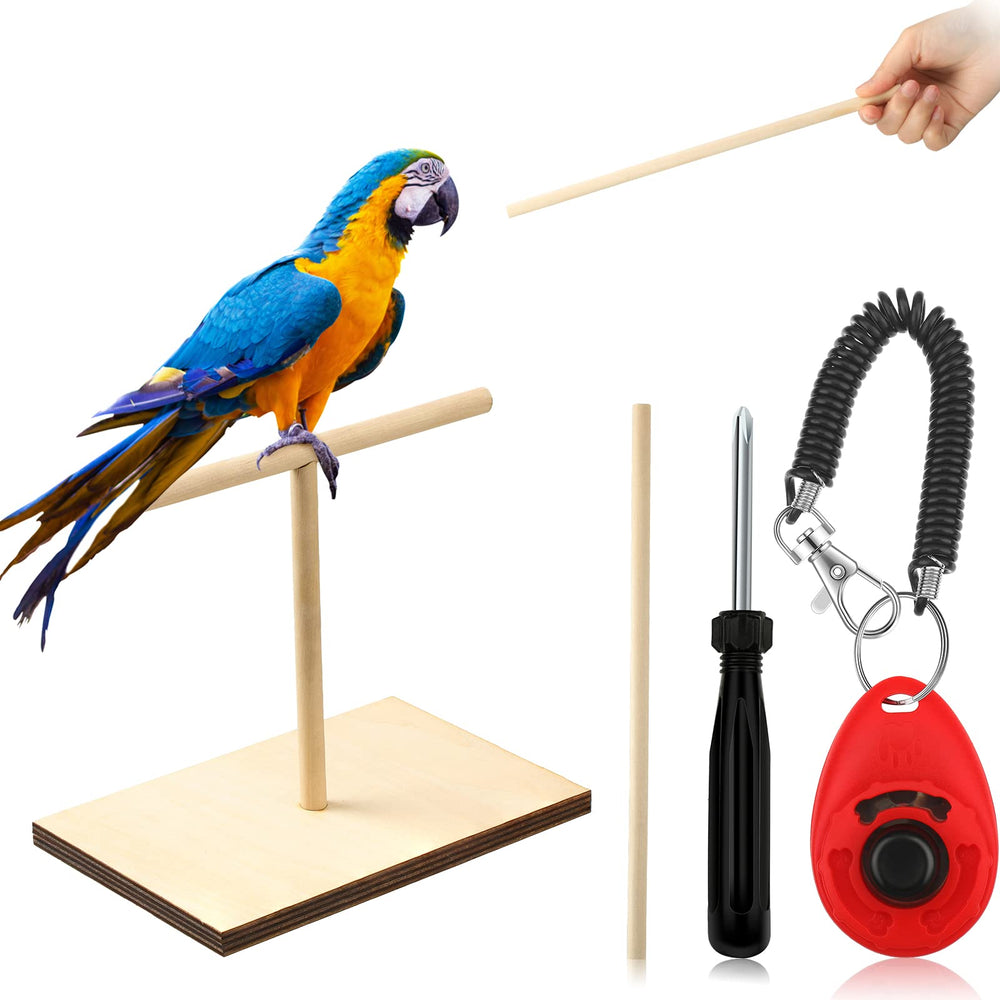 Cunno Bird Training Stand Kit parakeet perch on tabletop ideal for training sessions.