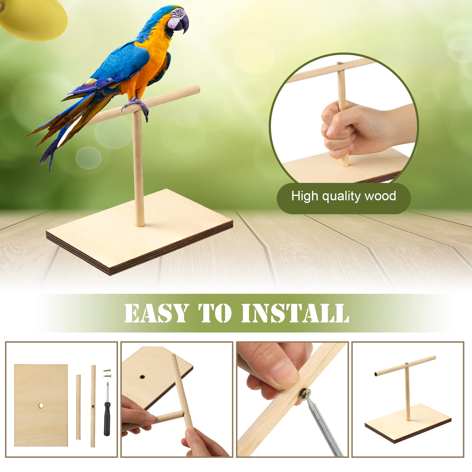 Cunno Tabletop use shows convenient setup for indoor bird training and bonding.