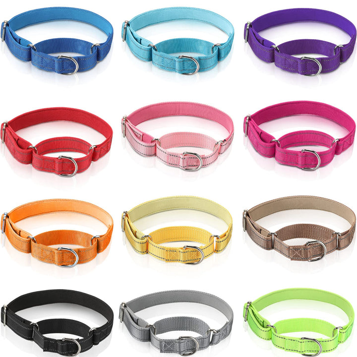 Cunno martingale collar set in packaging shows 12 color options for daily wear.