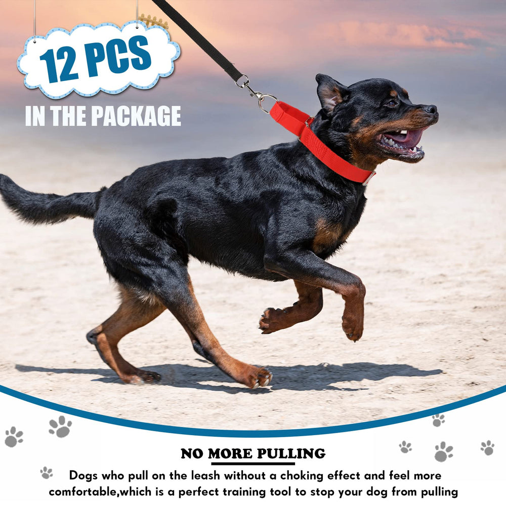 Adjustable neck range 13–16 inches provides flexible sizing for medium dogs.