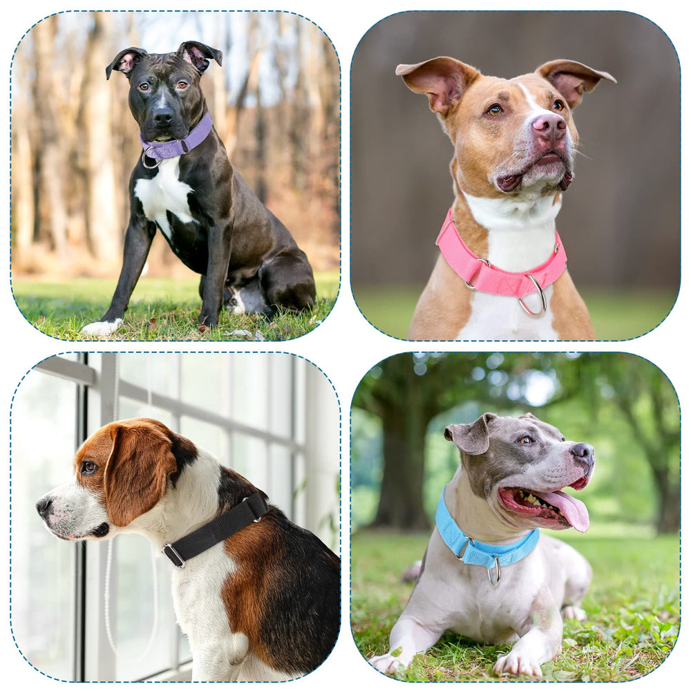 Cunno martingale collar ideal for safe daily walks and training at night.