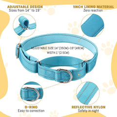Soft inner lining of Cunno collar provides gentle neck comfort during long walks.