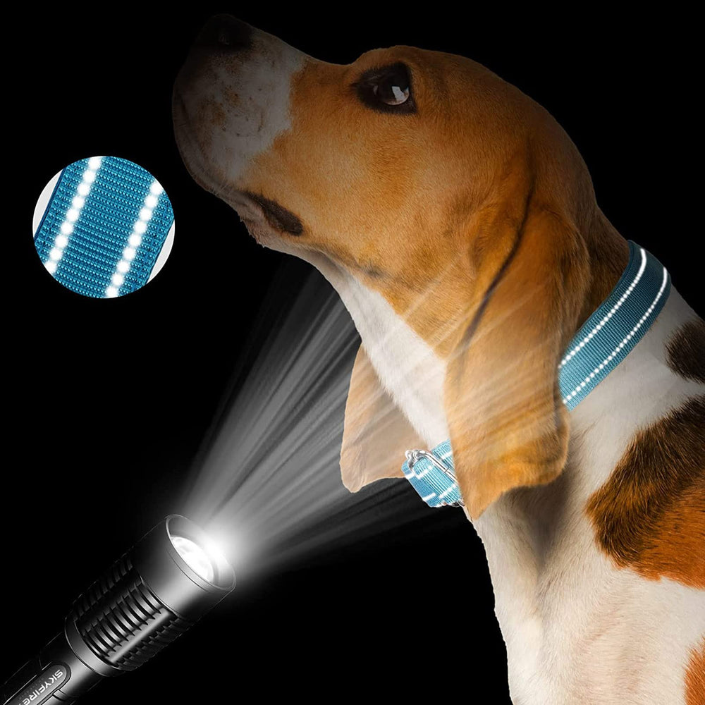 Reflective Cunno nylon strap for safe night walks.