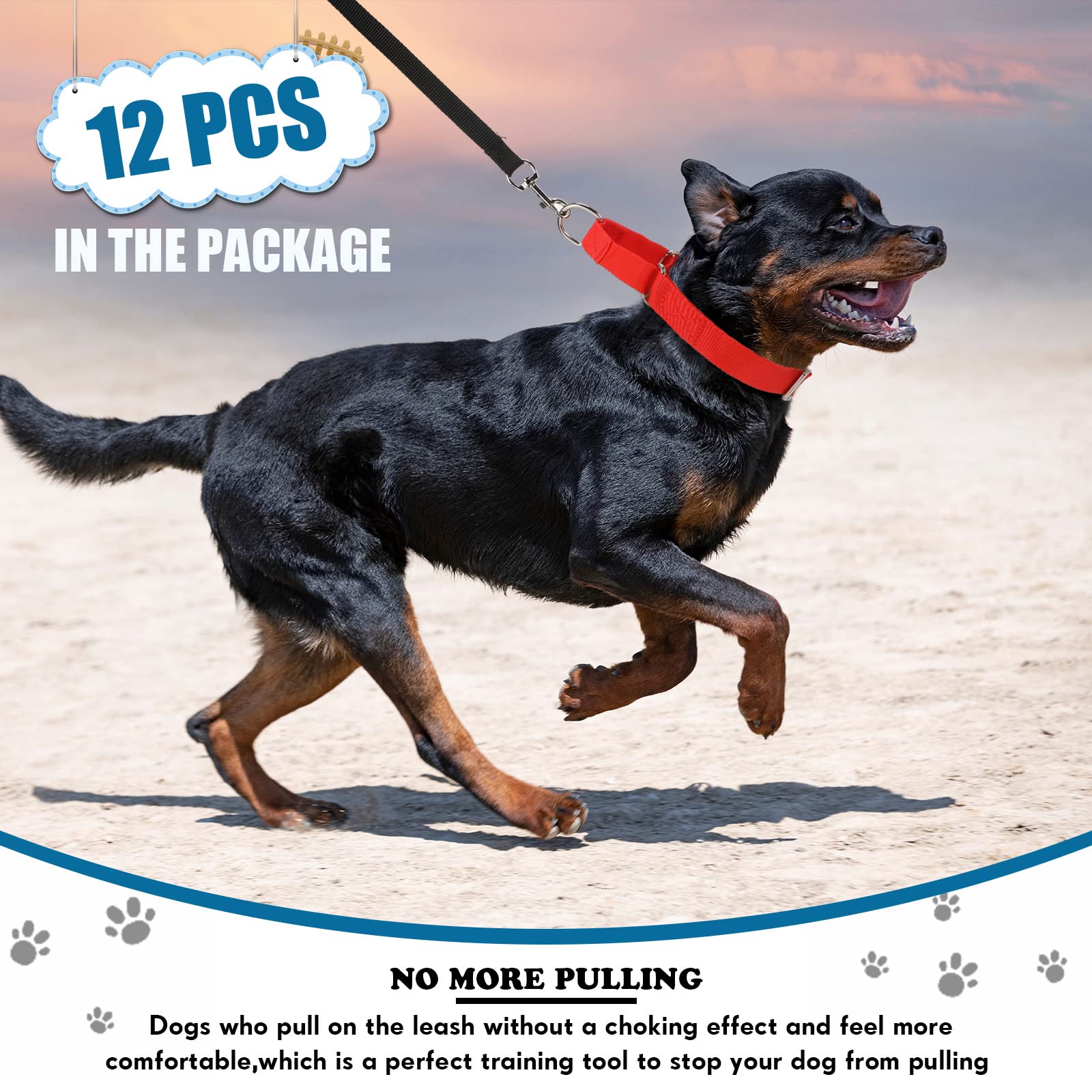Cunno medium dog adjustable collar showing neck sizing range.