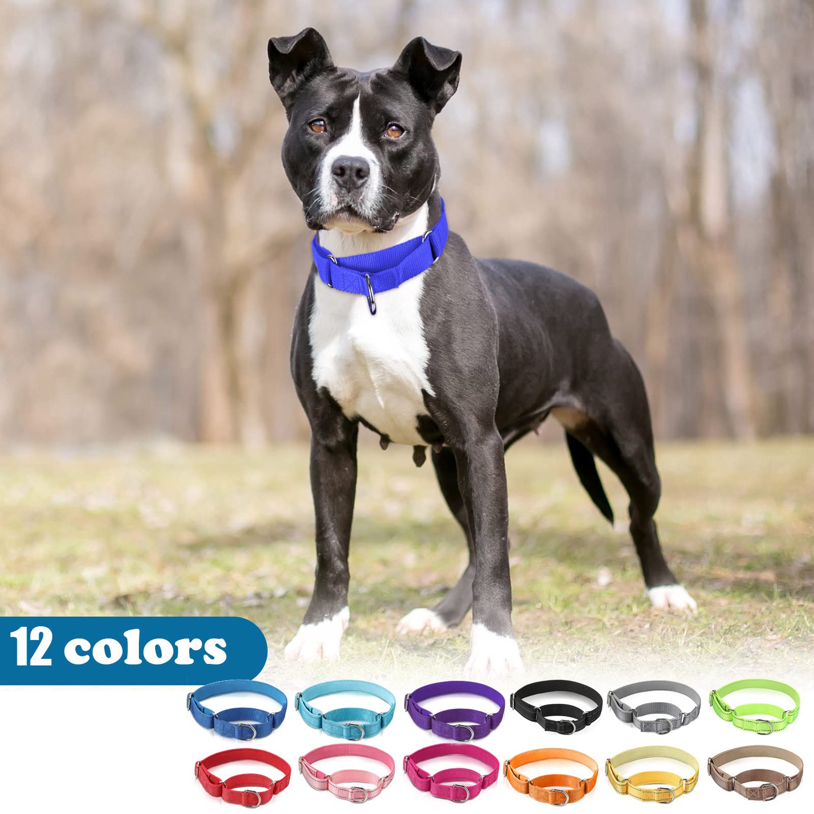Cunno reflective night visibility collar in action during dusk.